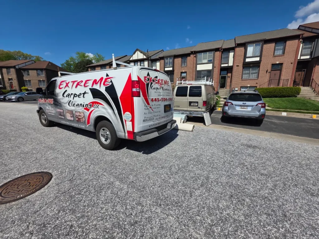 professional carpet cleaning