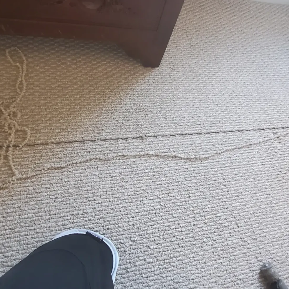 fix wrinkled carpet Baltimore County
